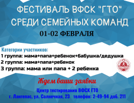 Фестиваль ВФСК «ГТО» среди семейных команд Фестиваль ВФСК «ГТО» среди семейных команд.